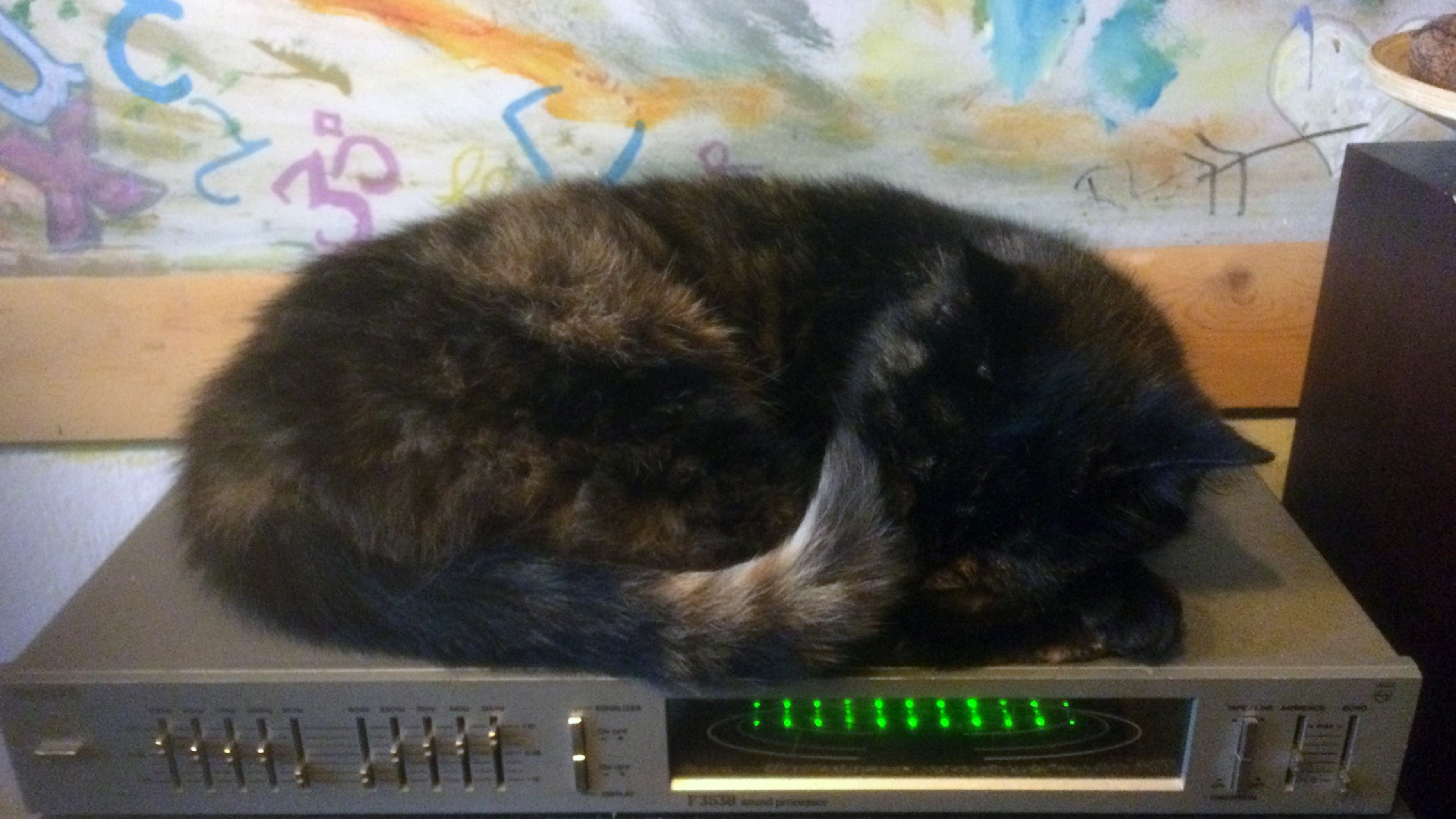 A dark-furred cat with lighter patches is curled up sleeping on top of an audio equalizer. The equalizer displays multiple sliders and knobs with green LED lights, while a colorful abstract painting featuring various shapes and symbols forms the vibrant background, blending technology, art, and feline comfort.
