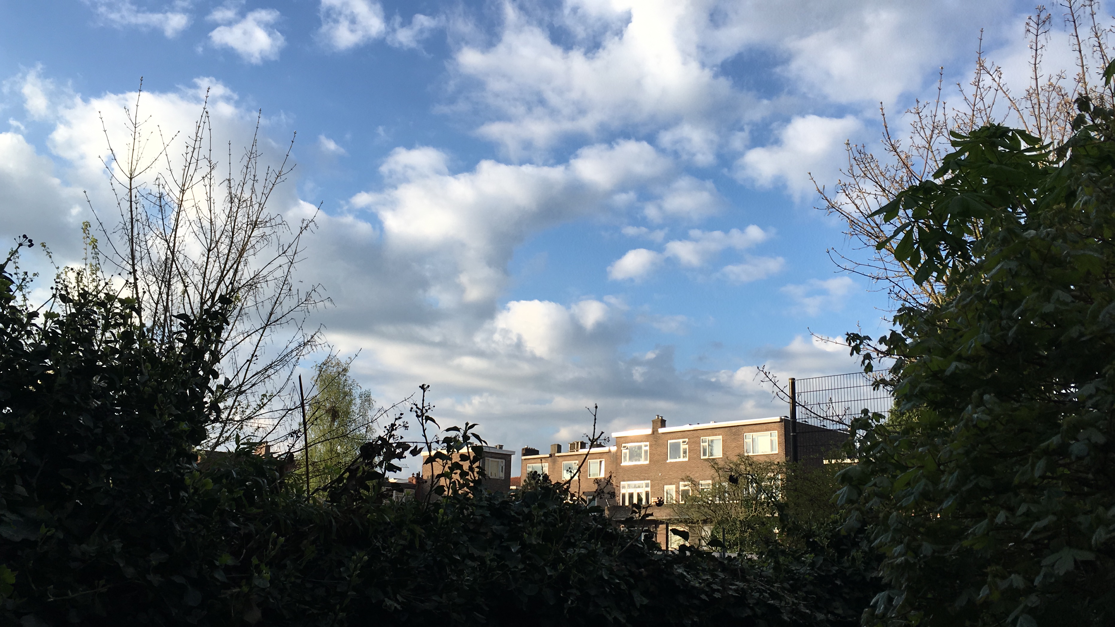 A serene suburban scene under a clear blue sky with scattered clouds. In the foreground, various trees and bushes—some with bare branches indicating autumn or winter—contrast with brick residential buildings in the background featuring multiple windows, creating a calm and peaceful atmosphere.